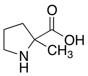 2-methylproline