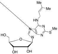 2-Methylthio-N6-isopentenyladenosine