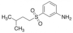 3-[(3-Methylbutane)sulfonyl]aniline