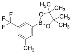 3-Methyl-5-trifluoromethylphenylboronic Acid Pinacol Ester