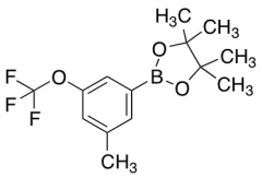 3-Methyl-5-(trifluoromethoxy)phenylboronic Acid Pinacol Ester