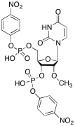 2'-O-Methyluridine 3',5'-Bis(4-nitrophenyl)phosphate Diester