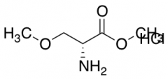 (R)-Methyl 2-Amino-3-methoxypropanoate Hydrochloride