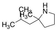 2-methyl-2-(2-methylpropyl)pyrrolidine