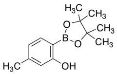 5-Methyl-2-(4,4,5,5-tetramethyl-1,3,2-dioxaborolan-2-Yl)phenol
