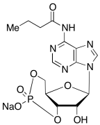 N6-Monobutyryladenosine 3&rsquo;:5&rsquo;-Cyclic Monophosphate Sodium Salt