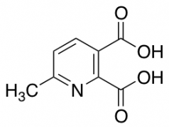 6-methylpyridine-2,3-dicarboxylic acid