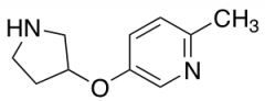 2-methyl-5-(pyrrolidin-3-yloxy)pyridine