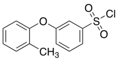 [3-(2-Methylphenoxy)Phenyl]Sulfonyl Chloride