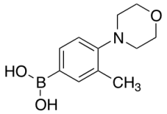 3-Methyl-4-morpholinophenylboronic acid