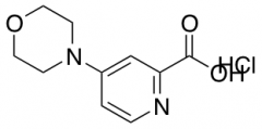 4-Morpholin-4-yl-pyridine-2-carboxylicacid Hydrochloric Acid Salt