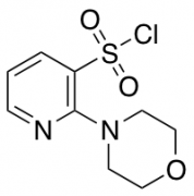 2-Morpholin-4-yl-pyridine-3-sulfonyl Chloride