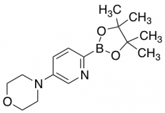 5-Morpholinopyridine-2-boronic Acid Pinacol Ester