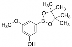 3-Methoxy-5-(4,4,5,5-tetramethyl-1,3,2-dioxaborolan-2-yl)phenol