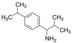2-methyl-1-[4-(propan-2-yl)phenyl]propan-1-amine