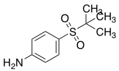 4-(2-methylpropane-2-sulfonyl)aniline