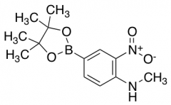 4-Methylamino-3-nitrophenylboronic Acid, pinacol ester