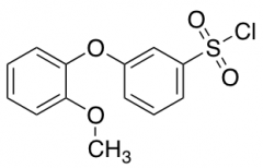 [3-(2-Methoxyphenoxy)Phenyl]Sulfonyl Chloride