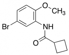 N-(5-bromo-2-methoxyphenyl)cyclobutanecarboxamide