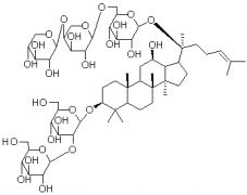 人参皂苷Ra1