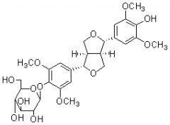 刺五加苷E1对照品