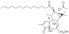 伏波醇-12-十四烷酸酯-13-乙酸酯对照品