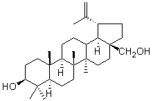白桦脂醇（桦木醇）对照品