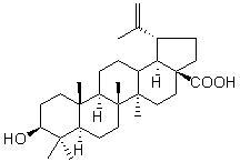 白桦脂酸（白桦酯酸）对照品