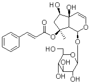 6'-O-肉桂酰基哈巴苷对照品