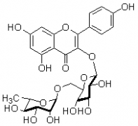 山奈酚-3-O-芸香糖苷（莰非醇-3-O-芸香糖苷）对照品