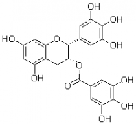 表没食子儿茶素没食子酸酯对照品