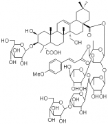 远志皂苷B（远志皂甙B）对照品