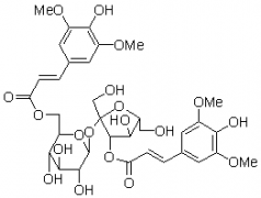 3,6′-二芥子酰基蔗糖对照品