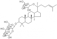 越南参皂苷R3对照品