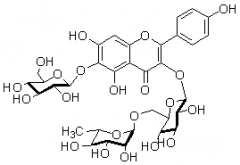 6-羟基山奈酚-3-O-芸香糖-6-O-葡萄糖苷对照品