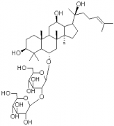 人参皂苷Rf对照品