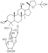 拟人参皂苷F11（拟人参皂甙F11）对照品