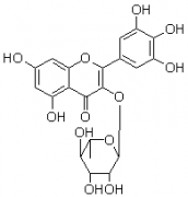 杨梅苷（杨梅甙;五羟基黄酮-3-鼠李糖苷）对照品